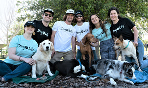 Group of six young adults in a park with five cute dogs.  The people are all wearing dog life tee shirts and some are also wearing dog life hates