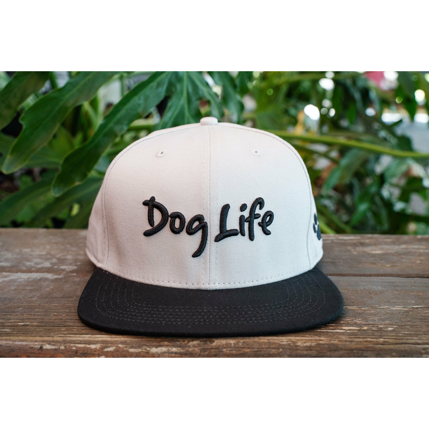 Dog Life snap back hat, black and white